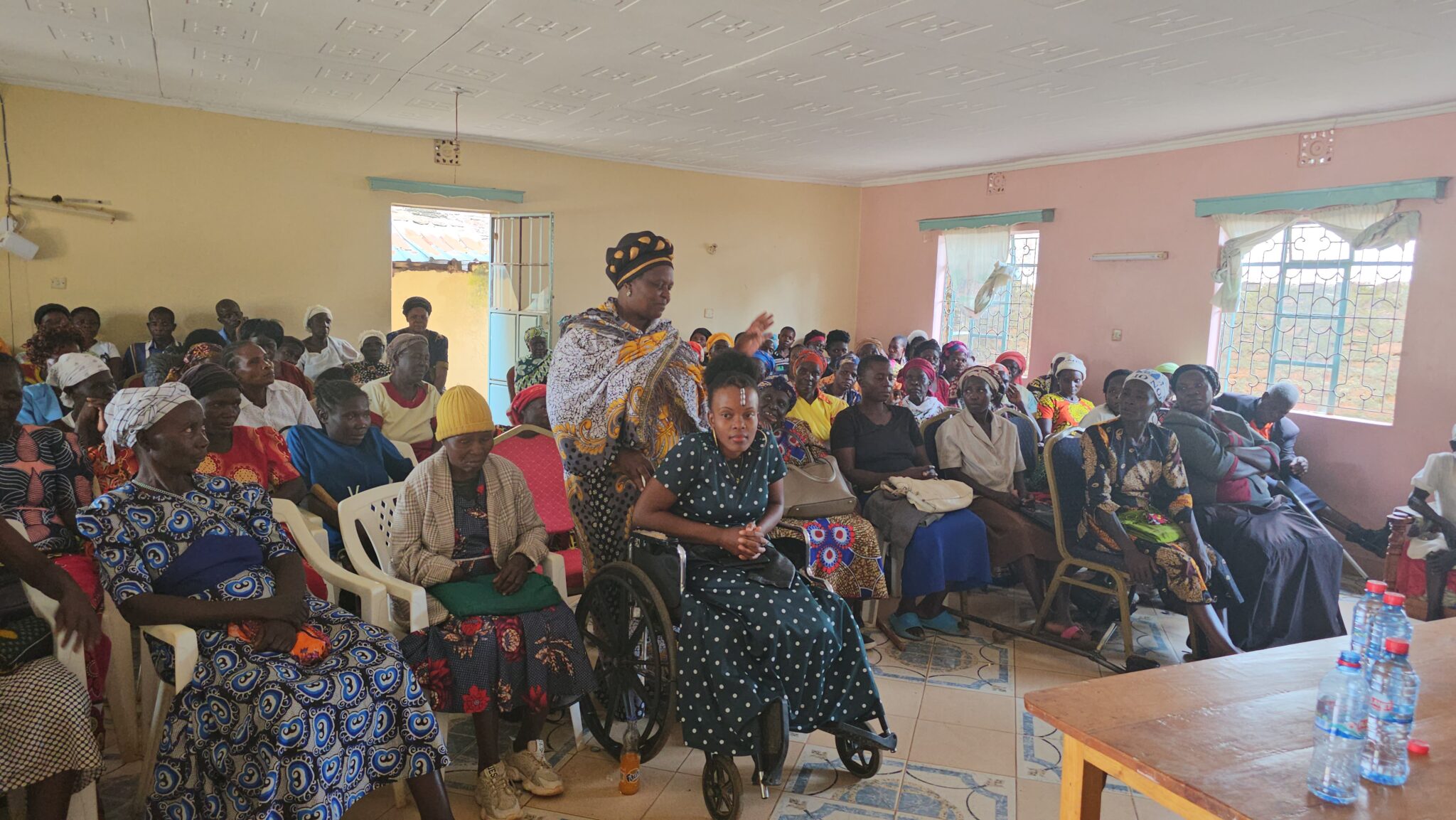 Supporting young women living with disabilities to influence policy on ...
