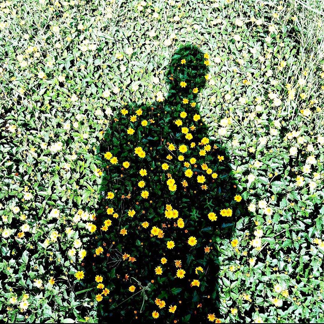On my way to All Saints Cathedral, Nakasero, I stop by a flower bed and worship the verity my shadow crowns to it- the sun overhead.