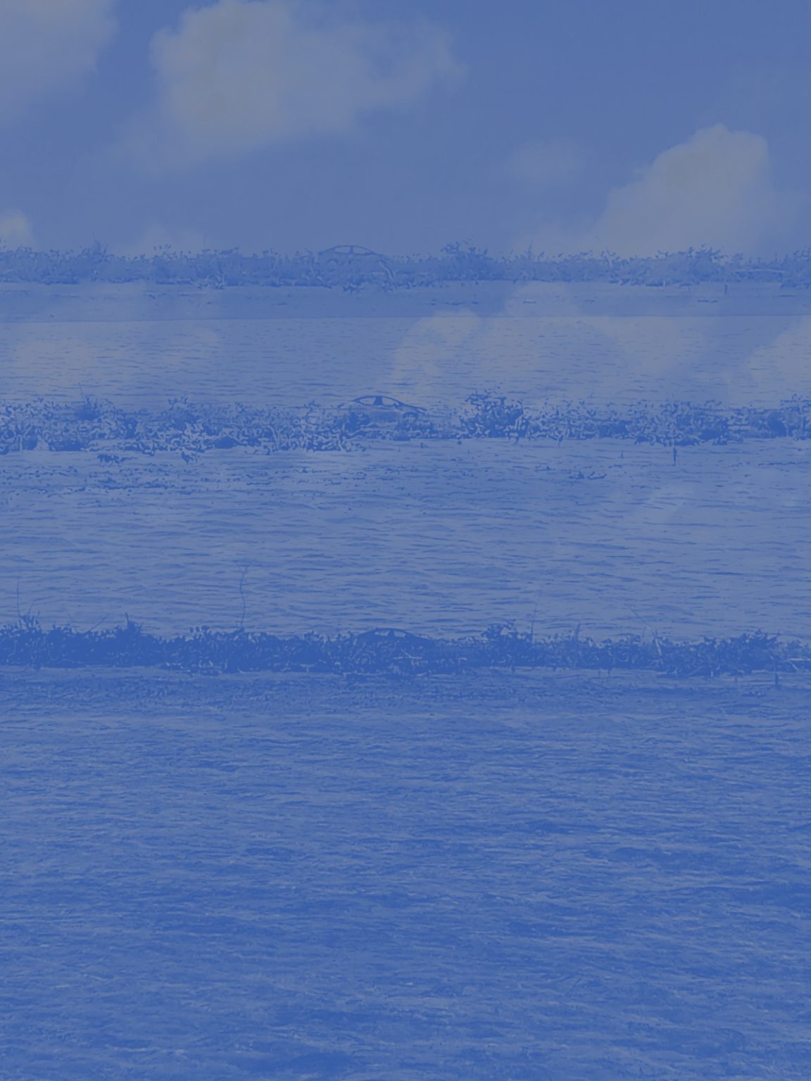A shoreline photograph pushed almost entirely into monochrome blue: flat water, low vegetated sandbars and a soft cloudy sky, with a vehicle just visible on the far shore. The blue wash flattens the scene into bands of water, land and sky.